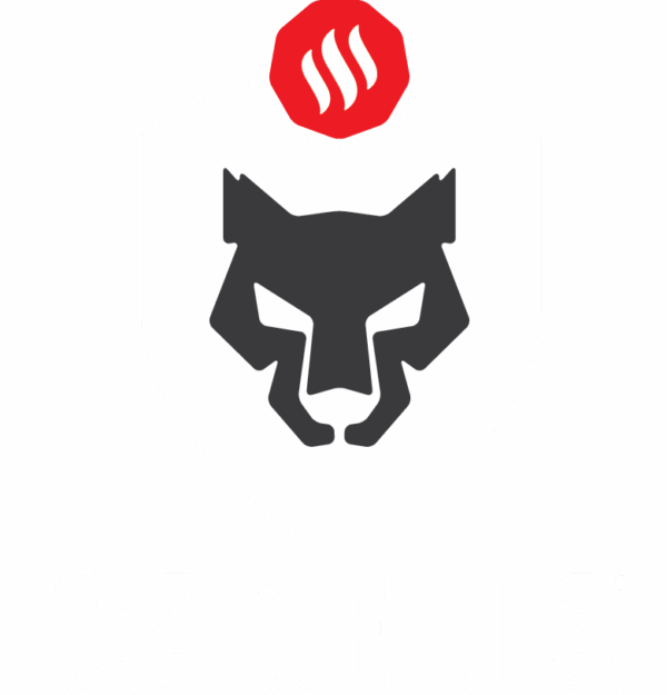 Carelia Grill® KARU – Bild 6