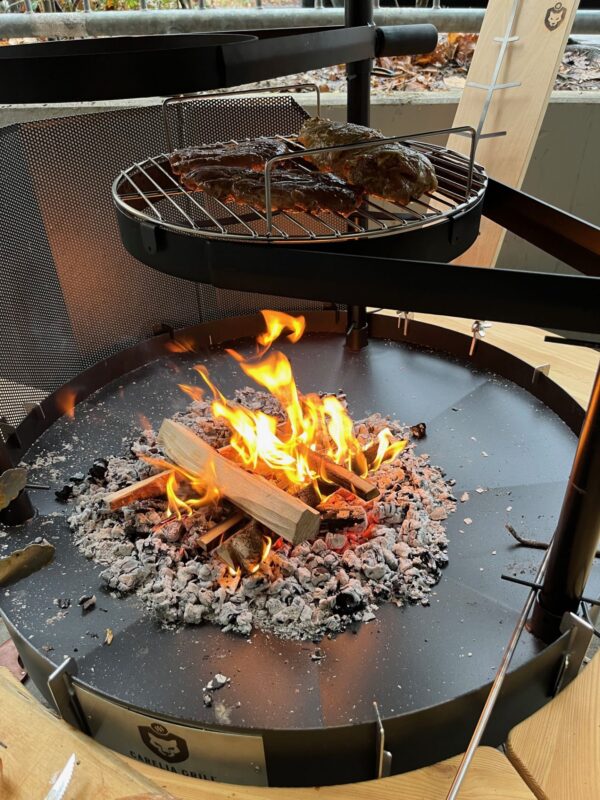 Carelia Grill® Basic 100 - niedriges Modell – Bild 5