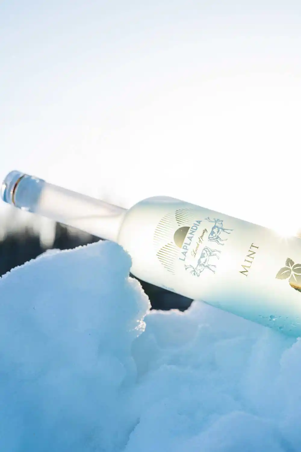 Laplandia Mint Vodka 37,5% Vol. – Bild 5