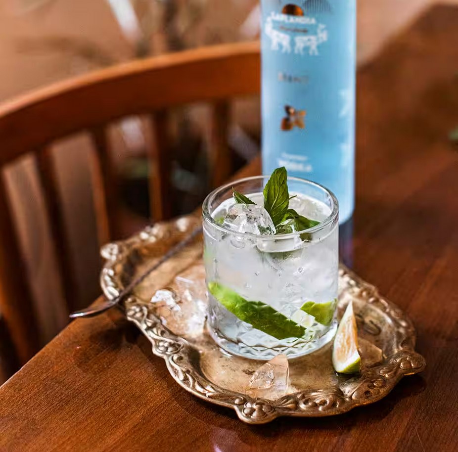 Laplandia Mint Vodka 37,5% Vol. – Bild 2