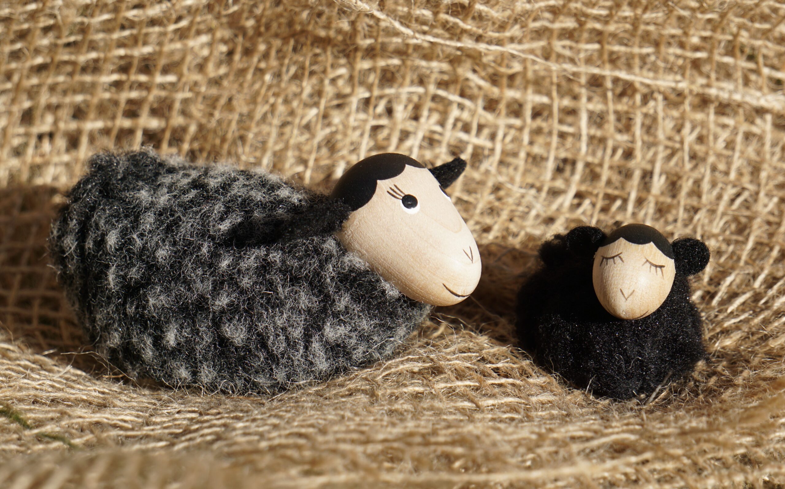 Lämmchen – Bild 2