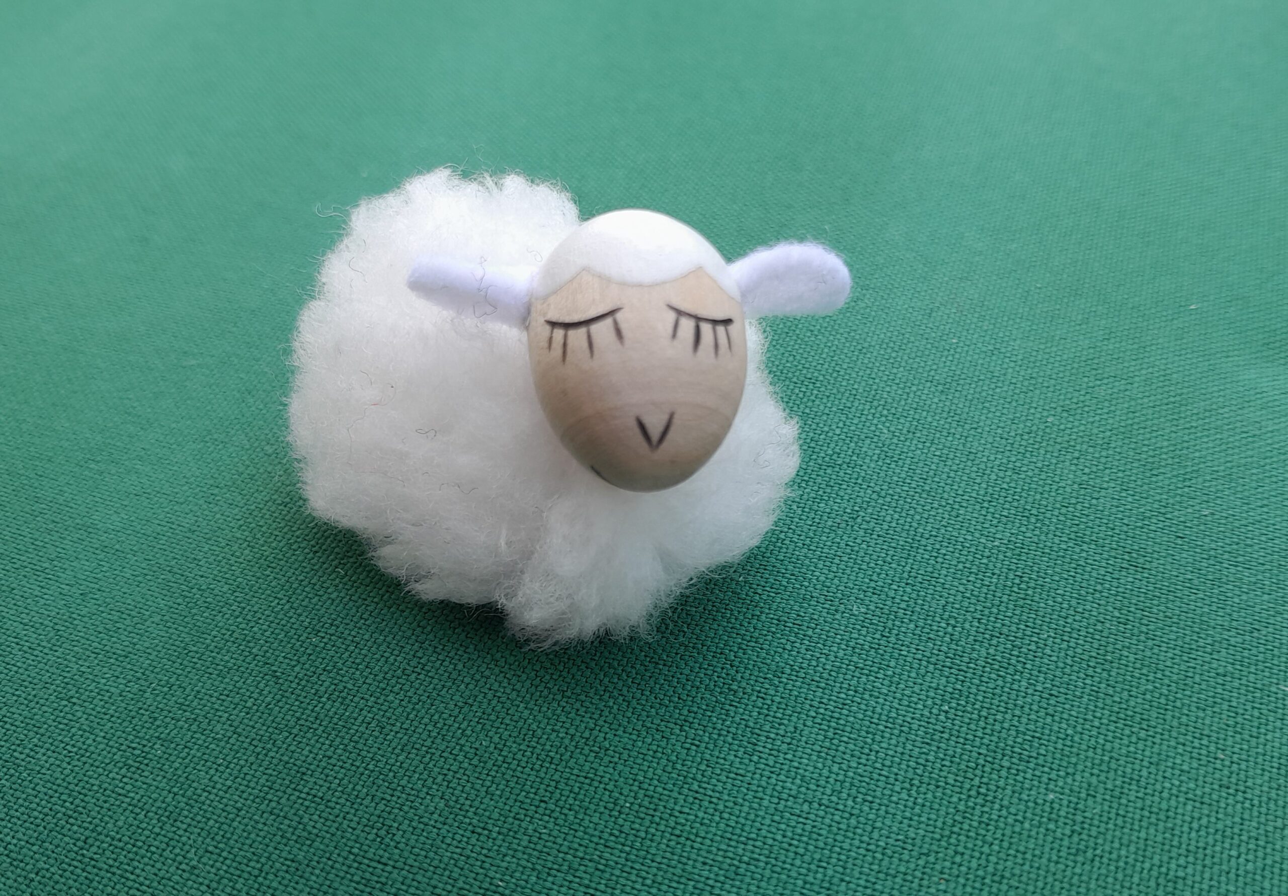 Lämmchen – Bild 8