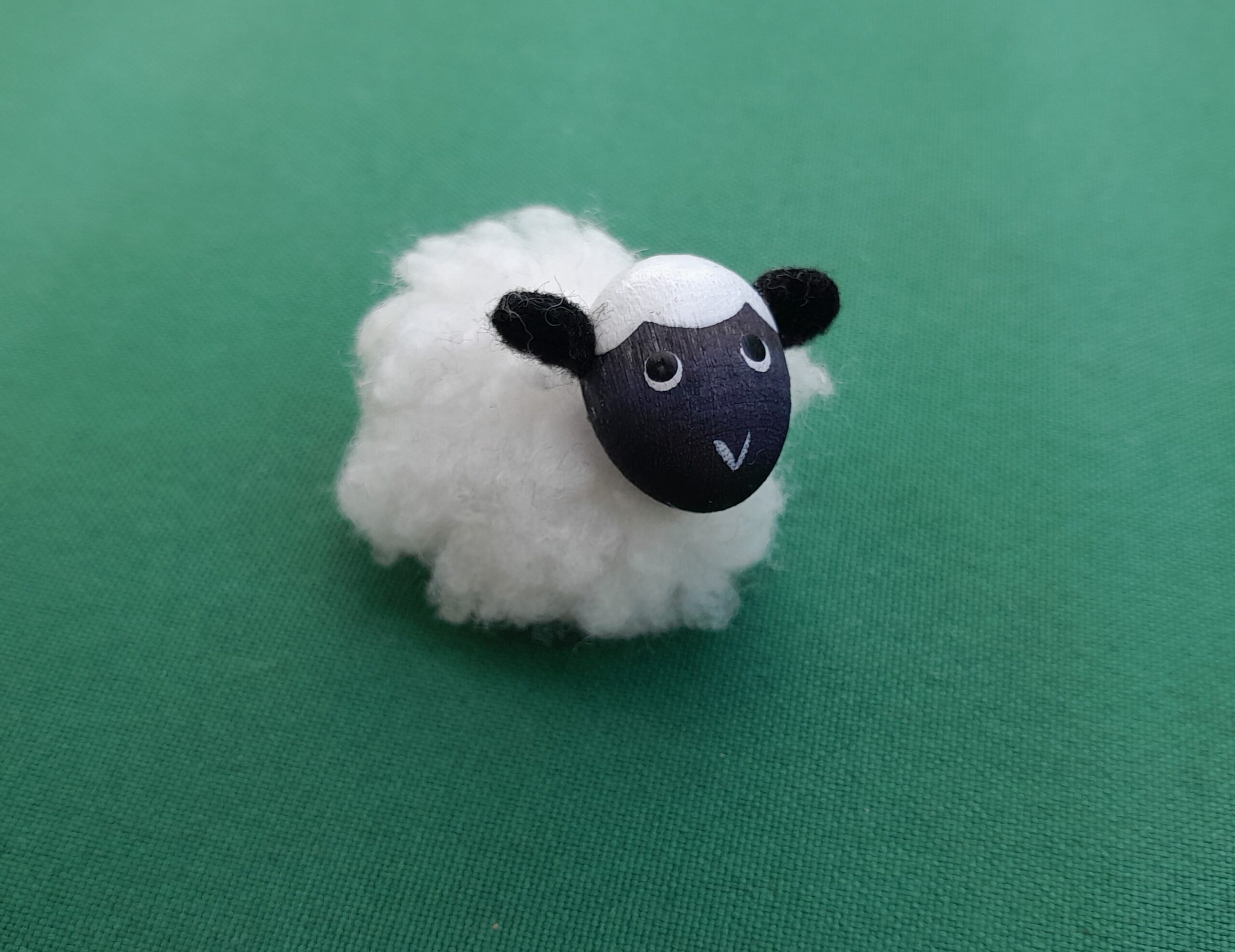 Lämmchen – Bild 9