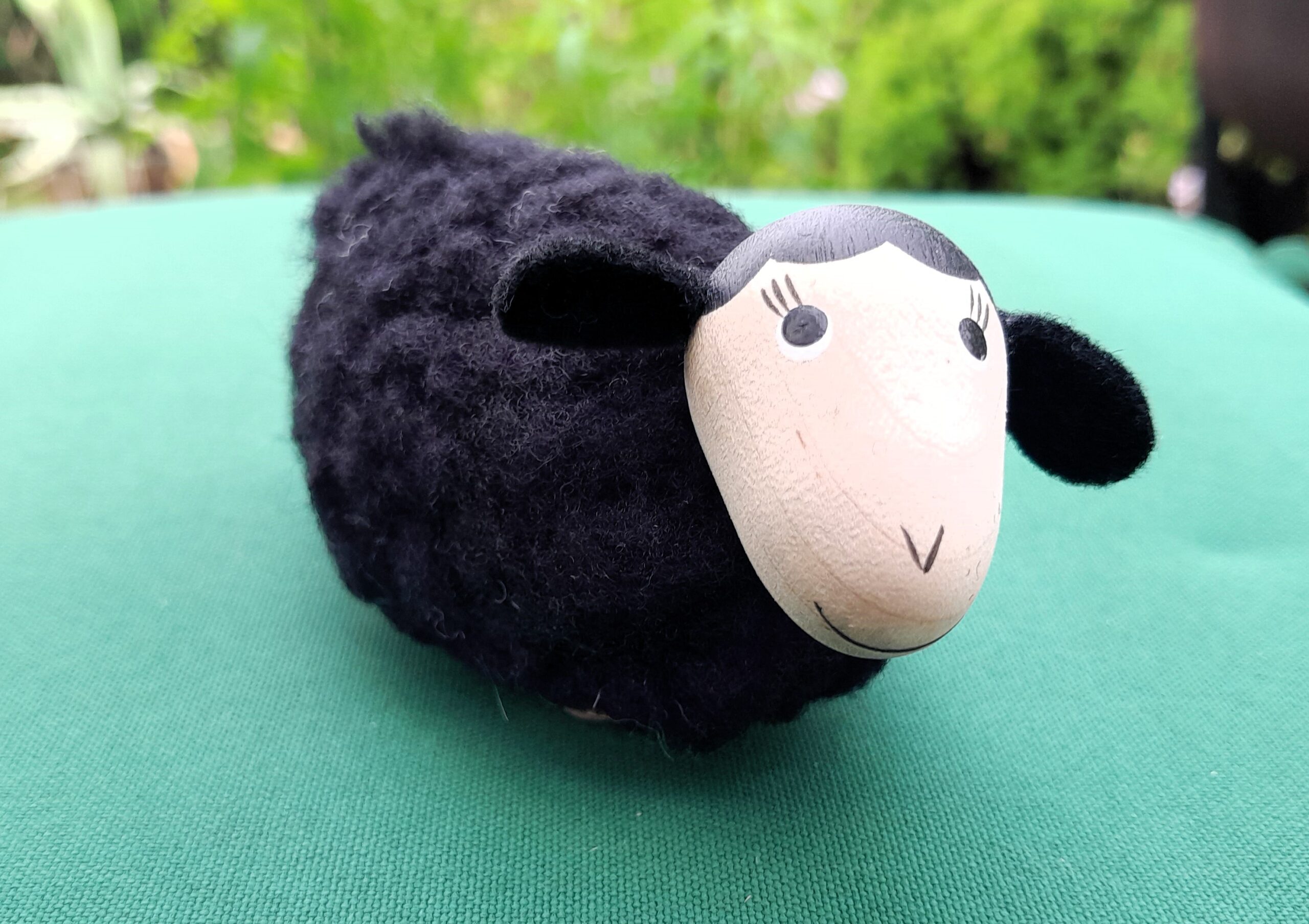 Mutterschaf – Bild 3