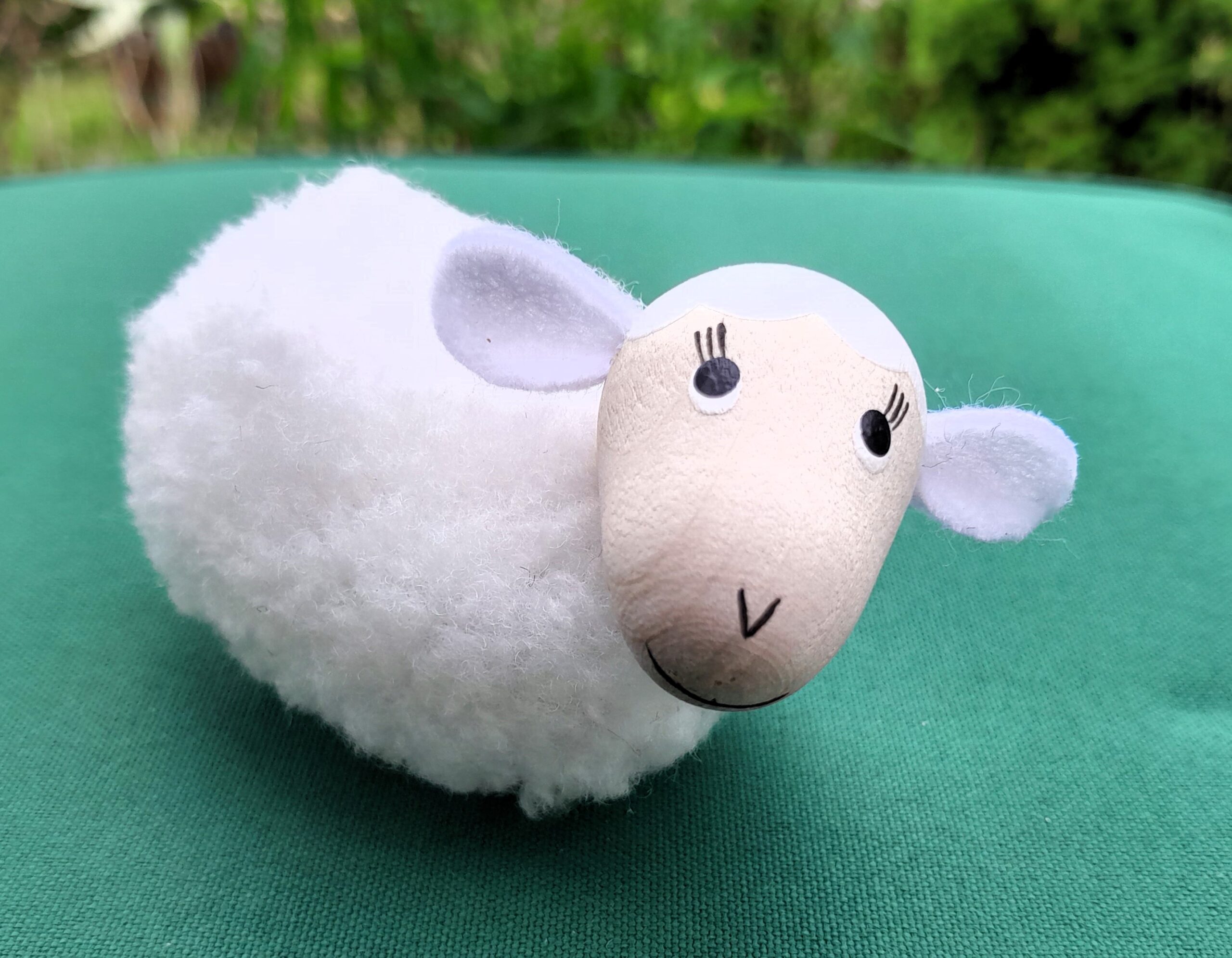 Mutterschaf – Bild 5