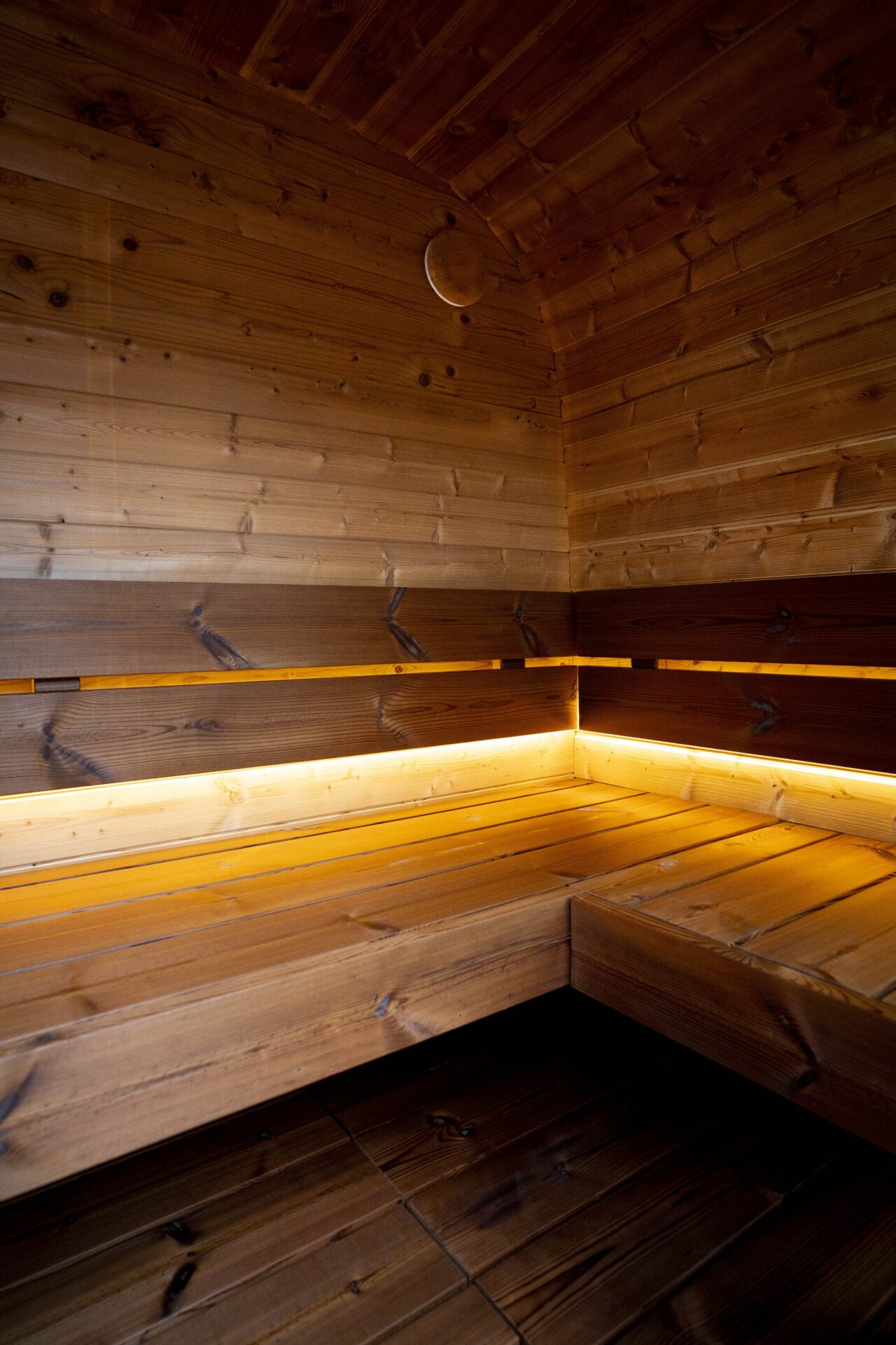 Cube Sauna Tommy innen, beleuchtete Liege- und Sitzbank